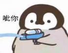 关于企鹅的动画片有哪些